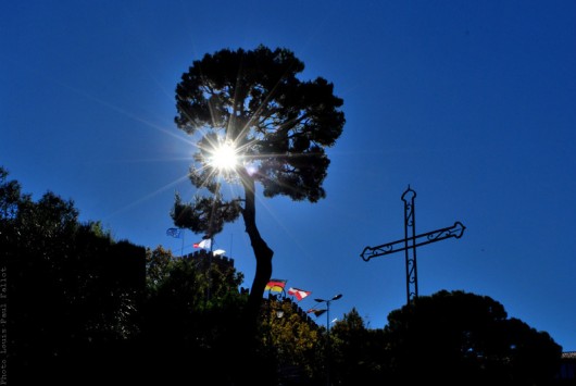 arbre,cagnes sur mer,chateau,frère marie-victorin,photo