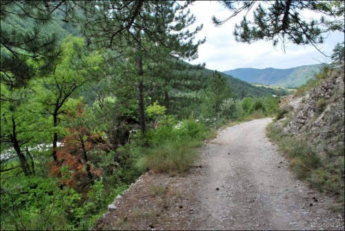 Chemin d'Entrevaux-PhotosLP Fallot (2).jpg