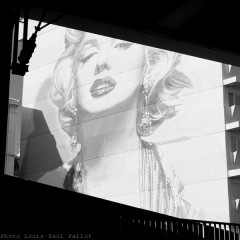 Cannes Festival film-PhotosLP Fallot (1).jpg