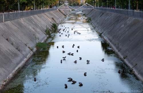 La Cagnes sans eau-PhotosLP Fallot (3).jpg