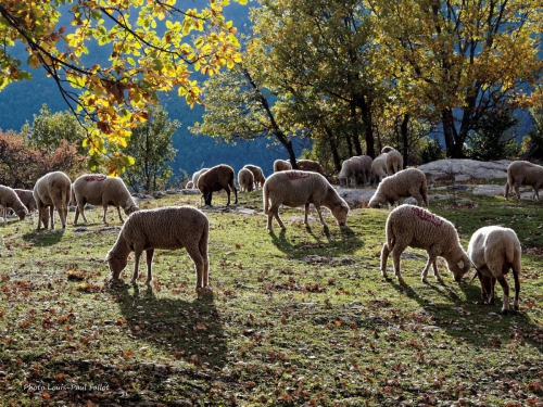 automne,annot,un blog revisité,méailles,entrevaux