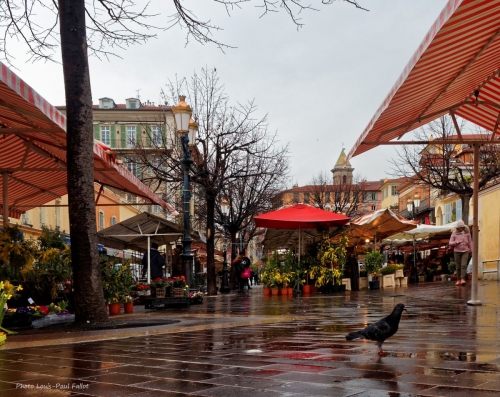 cours saleya,fleurs,pluie,christian bobin,cath,mimosa,livres