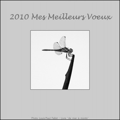 Carte de voeux 2010-LP Fallot.jpg