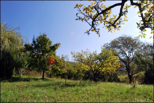 Octobre à Méailles-Photos LP Fallot (3).jpg