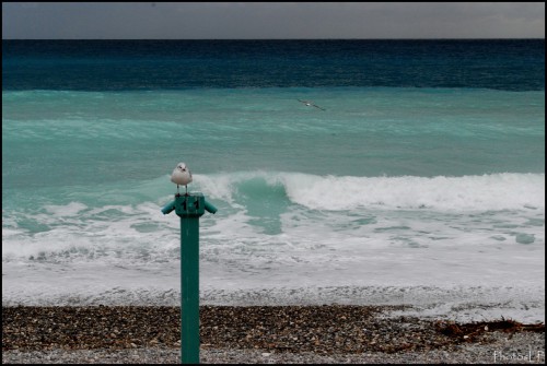 MENTON LE 8 NOVEMBRE 2009 (3).jpg