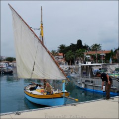 Voile latin au port du Cros-Aventure Pluriel-PhotosLP Fallot-Mai 2011.jpg