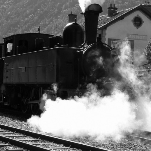 train des pignes,arte,de mer à monts,livre,éditions baie des anges,provence