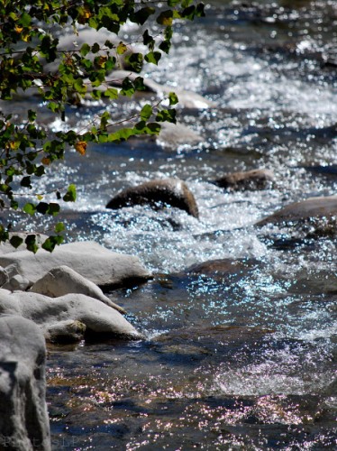 Rivière en Haute Provence-PhotosLP Fallot.jpg