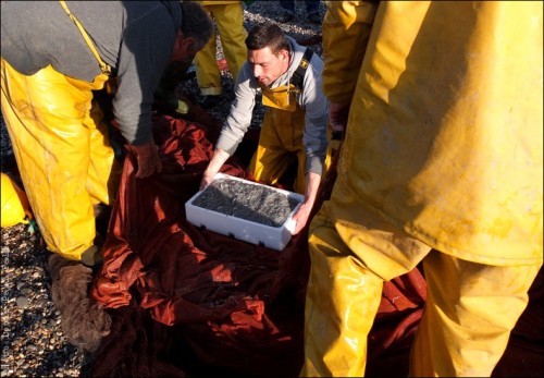 Pêche à la poutine au Cros de Cagnes-PhotosLP Fallot (3).jpg