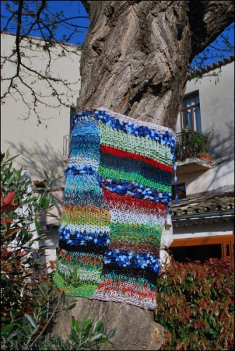 Arbres-Tricot-Haut de Cagnes-Avril 2011-PhotosLP Fallot (8).jpg