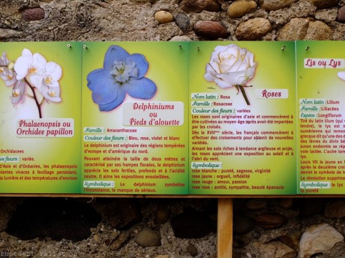 Symphonie Florale-PhotosLP Fallot (20).jpg