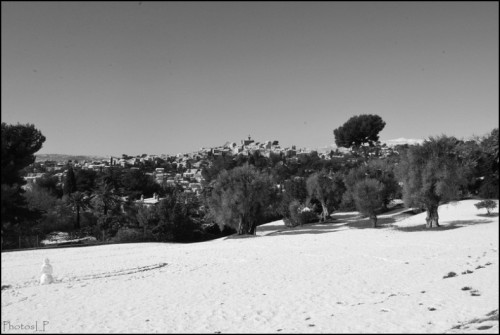 Parc Renoir à Cagnes-PhotosLP Fallot.jpg