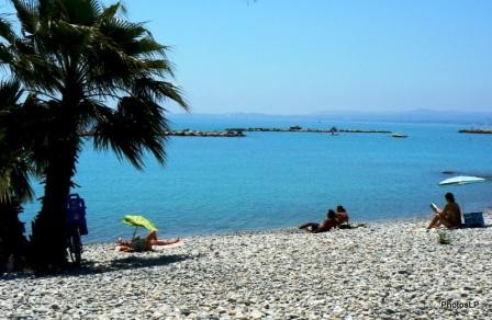 PLAGE DES GOELANDS -PhotosLP-P1390385 - Copie.JPG