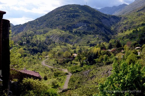 Arrière pays-PhotosLP Fallot (7).JPG