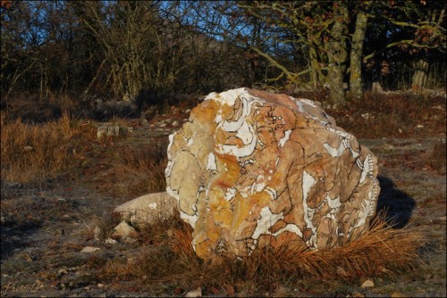 1er janvier 2011-Col de Vence-PhotosLP Fallot.jpg