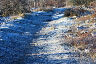 Col de Vence le 1er janvier 2011-PhotosLP Fallot (8).jpg