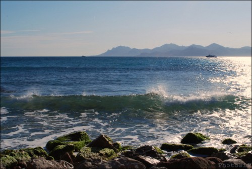 La pointe de la Croisette-PhotosLP (2).jpg