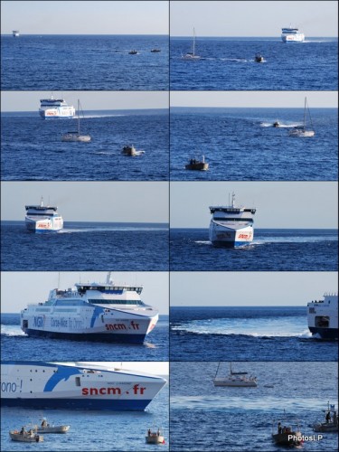 Arrivée du ferry NGV Liamone au port de Nice-Photos LP Fallot.jpg