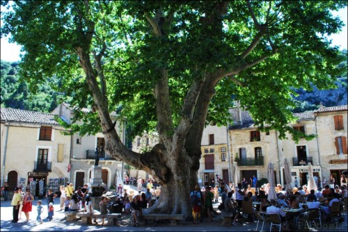 St Guilhem le désert-PhotosLP Fallot-2011 (2).jpg