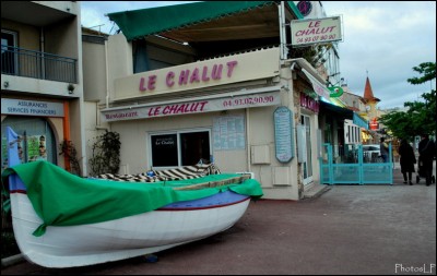 LE CROS DE CAGNES APRES LA TEMPETE-MAI 2010 - PhotosLP FALLOT .jpg