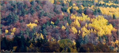 Automne 2010 - PhotosLP Fallot.jpg