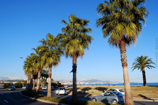 La Promenade de l'Hippodrome de Cagnes en hiver-PhotosLP Fallot (1).jpg