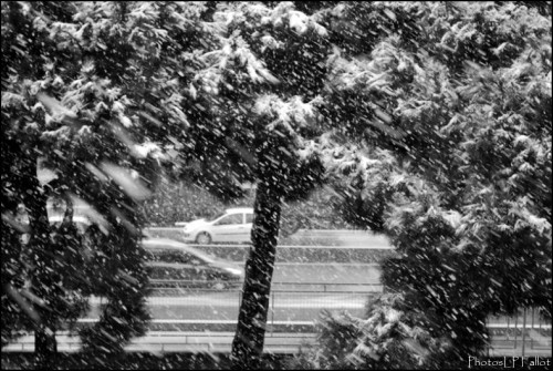 Tempête de neige sur Nice-PhotosLP Fallot.jpg