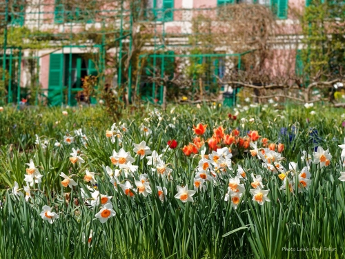 Monet à Giverny_Photo LP Fallot  (2).jpg