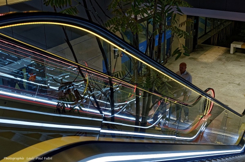 Néons escalators-Photo LP Fallot.jpg