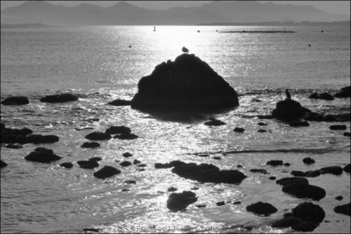 photo,plage des ondes,cap d'antibes,méditerranée