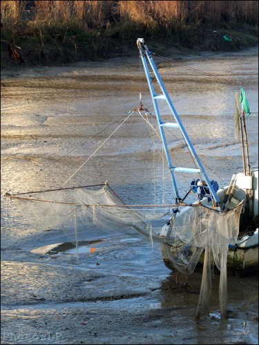 Ballade à Trentemoult-PhotosLP (10).jpg