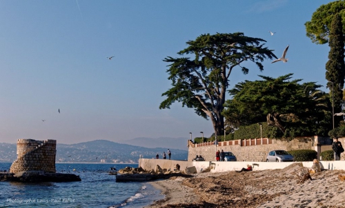 Plage des Ondes en hiver-PhotosLP Fallot.jpg