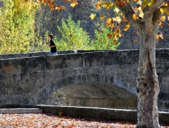 Automne en Haute Provence-PhotosLP Fallot -Série 2  (4).jpg