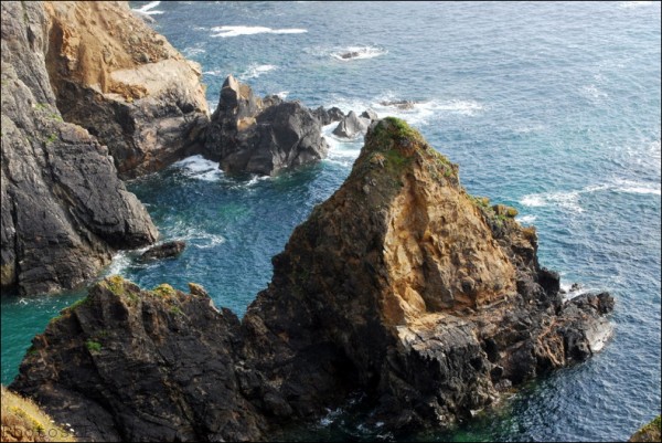 Pointe du Van-Finistère-juillet 2010-PhotosLP Fallot (4).jpg