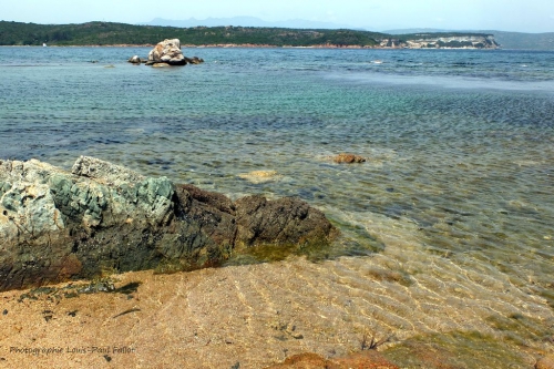 corse,umani,jean-françois bernardi,i muvrini