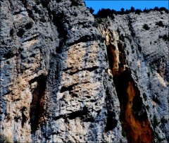 Un pont en Provence-PhotosLP Fallot-Avril 2011 (21).jpg