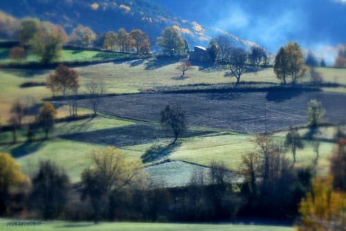 Automne en Haute Provence-PhotosLP Fallot -S1 (5).jpg