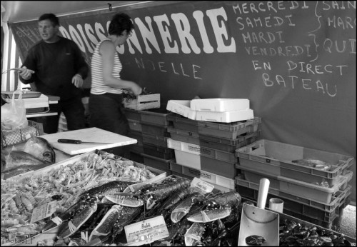 Langiustines-En direct du bâteau-PhotosLP Fallot-201O (2).jpg