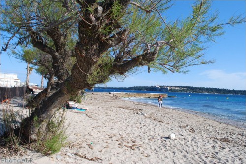 La pointe de la Croisette-PhotosLP (12).jpg