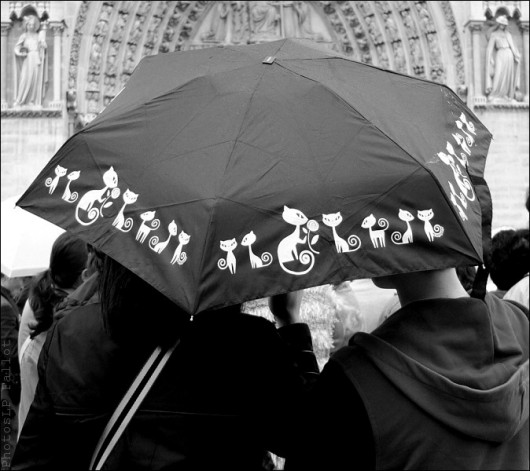 Un petit coin de parapluie-PhotosLP Fallot.jpg