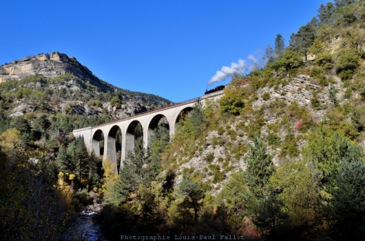 Automne bleu-PhotosLP Fallot (1).jpg