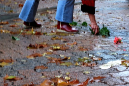 Pluie diluvienne-Feuilles-Cagnes-PhotosLP Fallot    (9).jpg