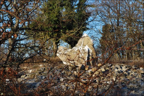 1er janvier 2011-Col de Vence-PhotosLP Fallot (3).jpg