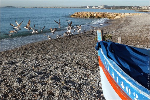 Pêche à la poutine au Cros de Cagnes-PhotosLP Fallot (9).jpg