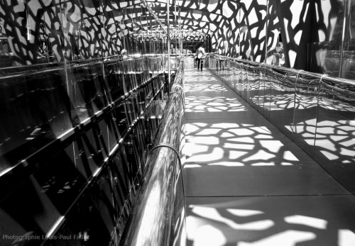 marseille,mucem,musée,expositions,jardin