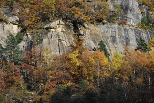 Automne en Haute Provence-PhotosLP Fallot -Série 2  (6).jpg