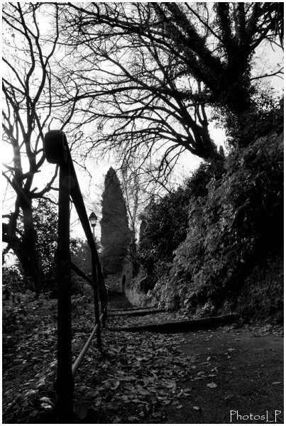 Chemin de Monsieur à Cagnes-PhotosLP Fallot.jpg