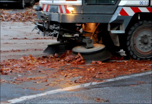 Pluie diluvienne-Feuilles-Cagnes-PhotosLP Fallot    (3).jpg