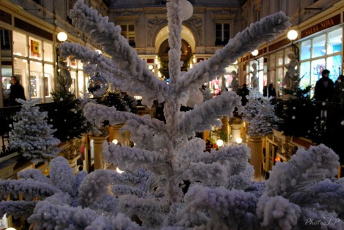 Les sapins du passage Pommeraye-décembre 2010-PhotosLP Fallot.jpg