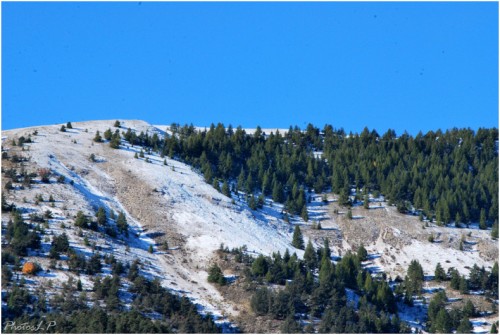 Première neige-PhotosLP-octobre 2010.jpg